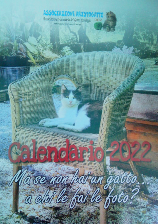 Calendario Gattile